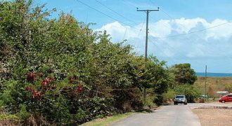 VF_056